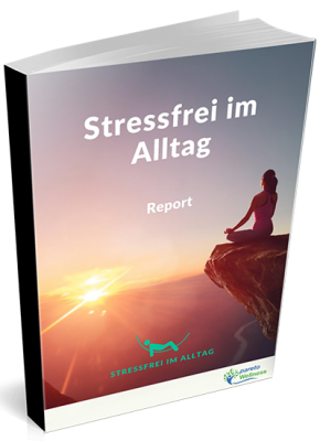 Stressfrei_Report_400