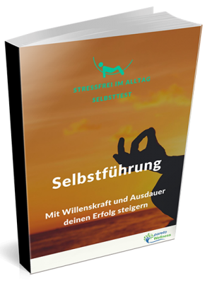 Stressfrei_Selbstführung_400